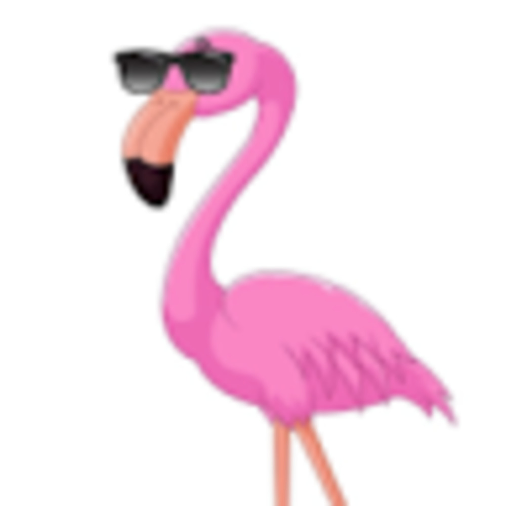 Meet your Posher, Alisae